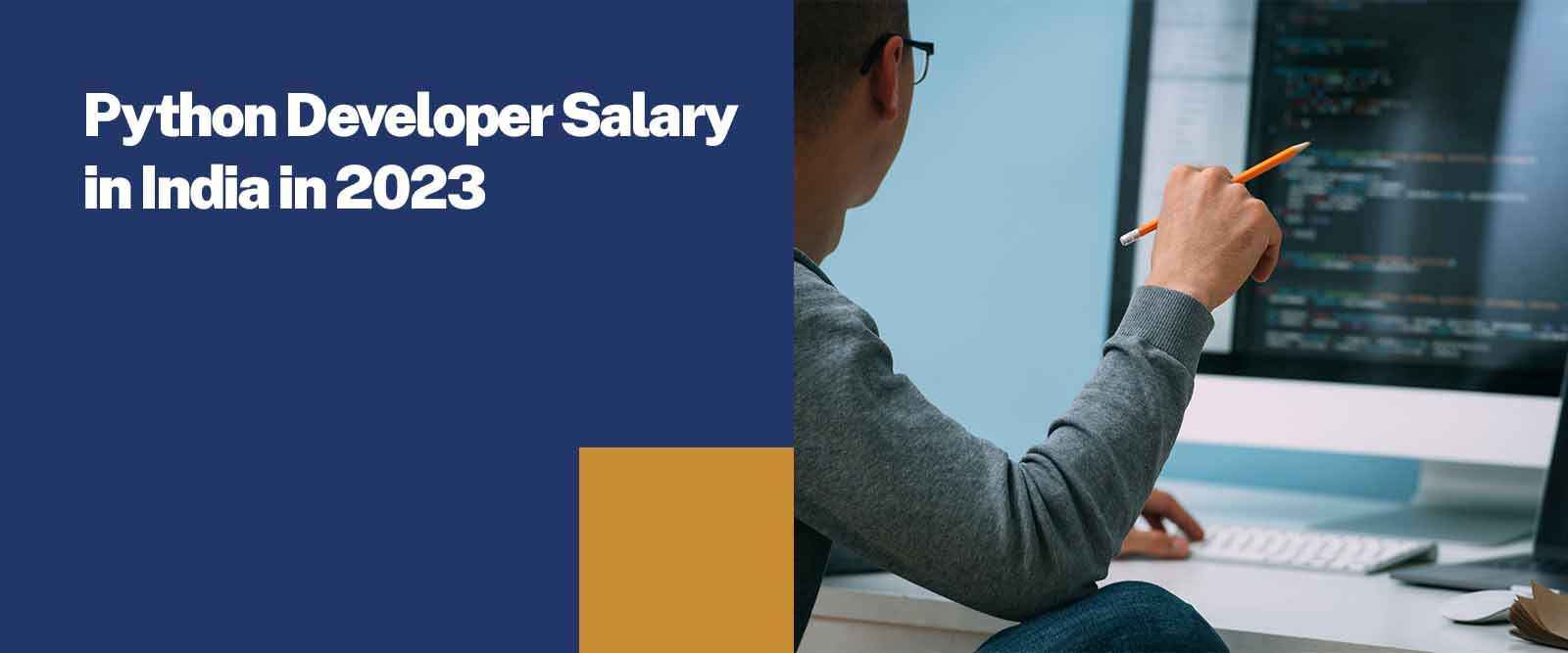 Python Developer salary