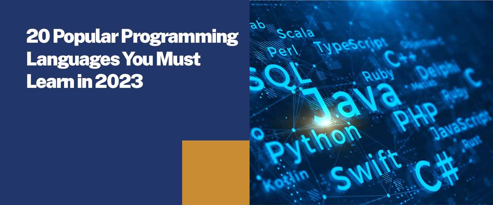20 Most Popular Programming Languages to Learn in 2023  Sunstone Blog