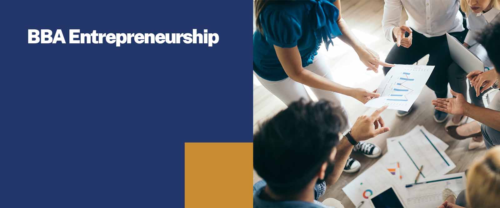 BBA Entrepreneurship