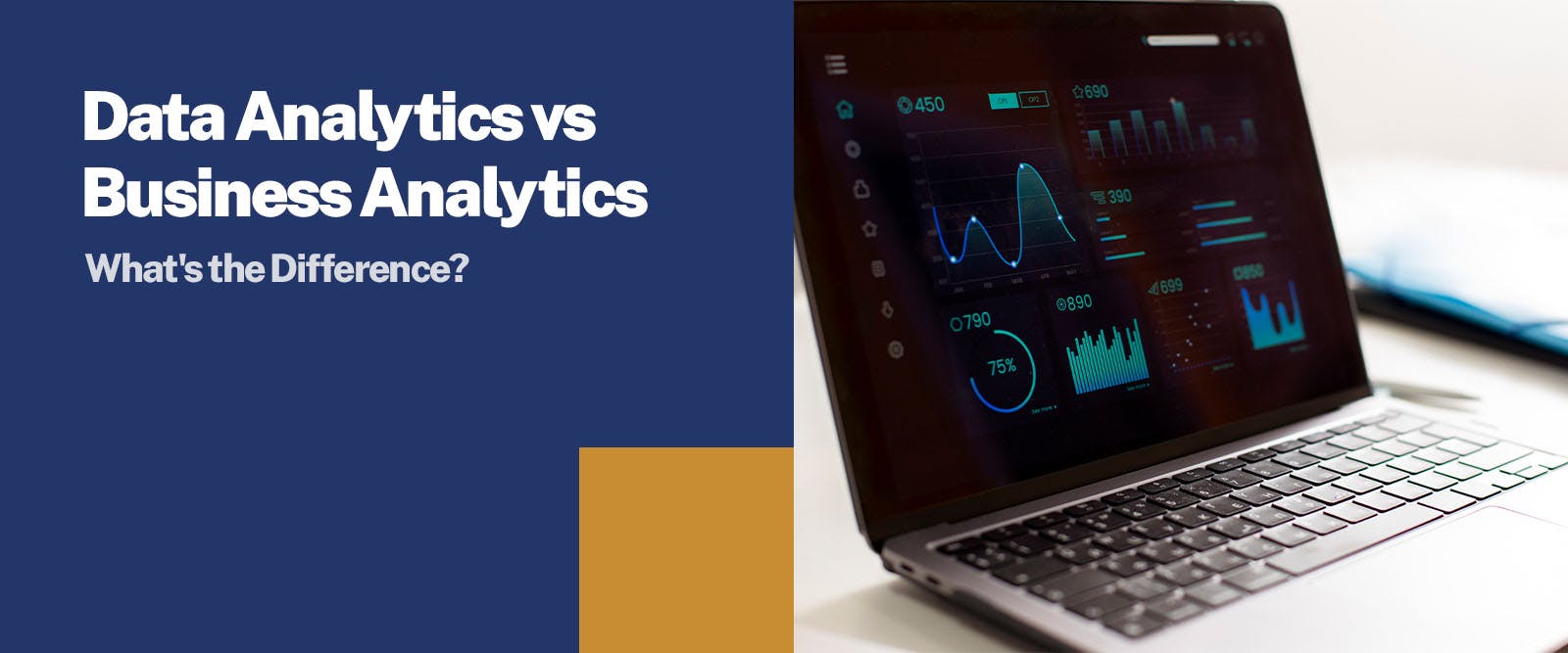 Data Analytics vs Business Analytics What's the Difference