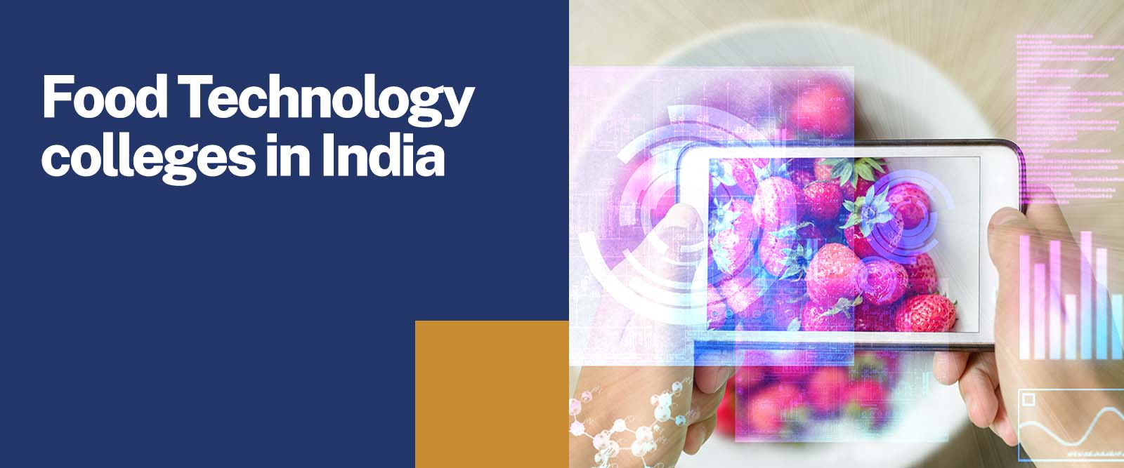 food technology colleges