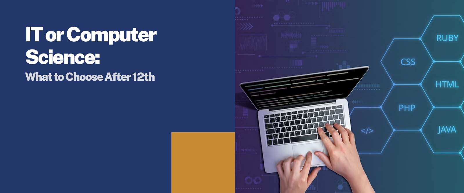 IT or Computer Science: What to Choose After 12th