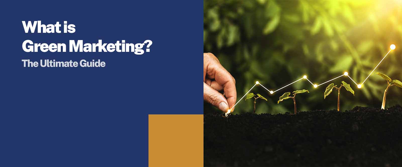 What is Green Marketing The Ultimate Guide