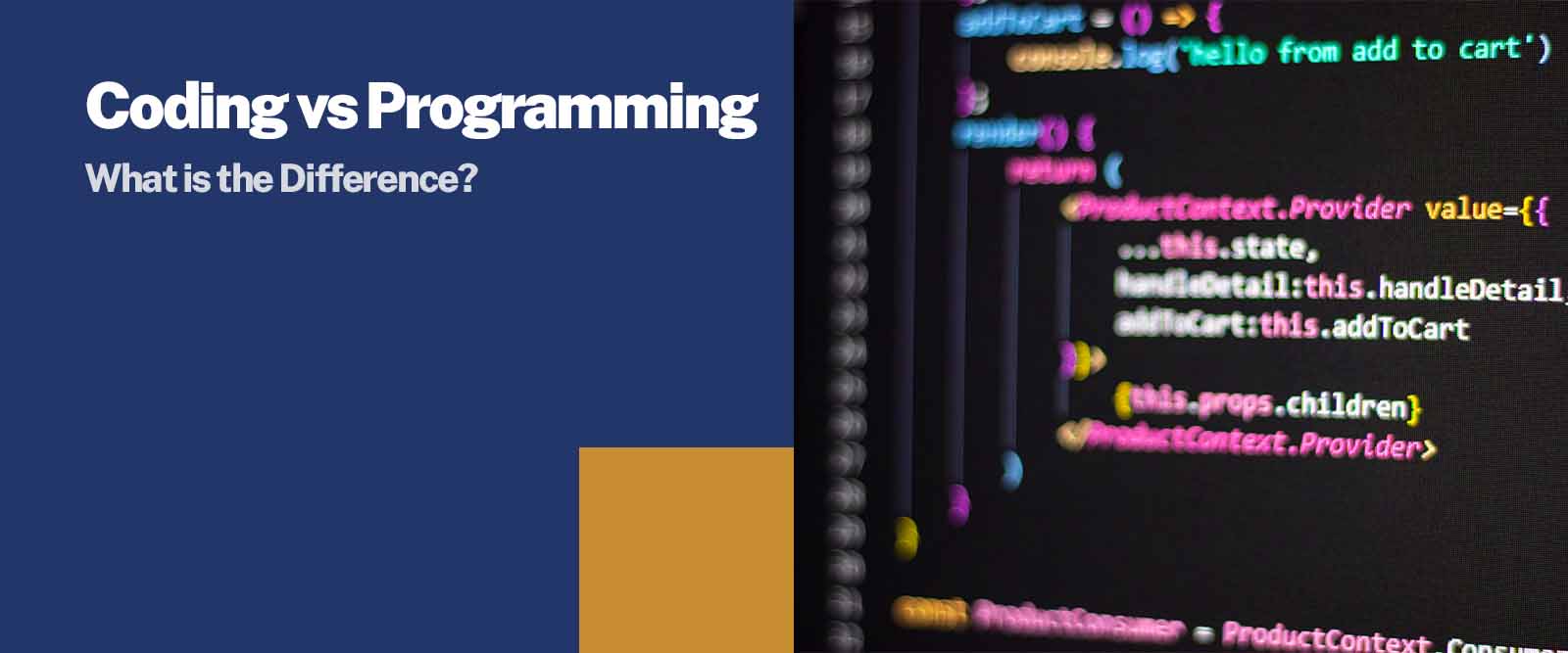 Coding vs Programming: What is the Difference? | Sunstone Blog