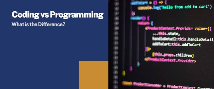 Coding vs Programming: What is the Difference? | Sunstone Blog
